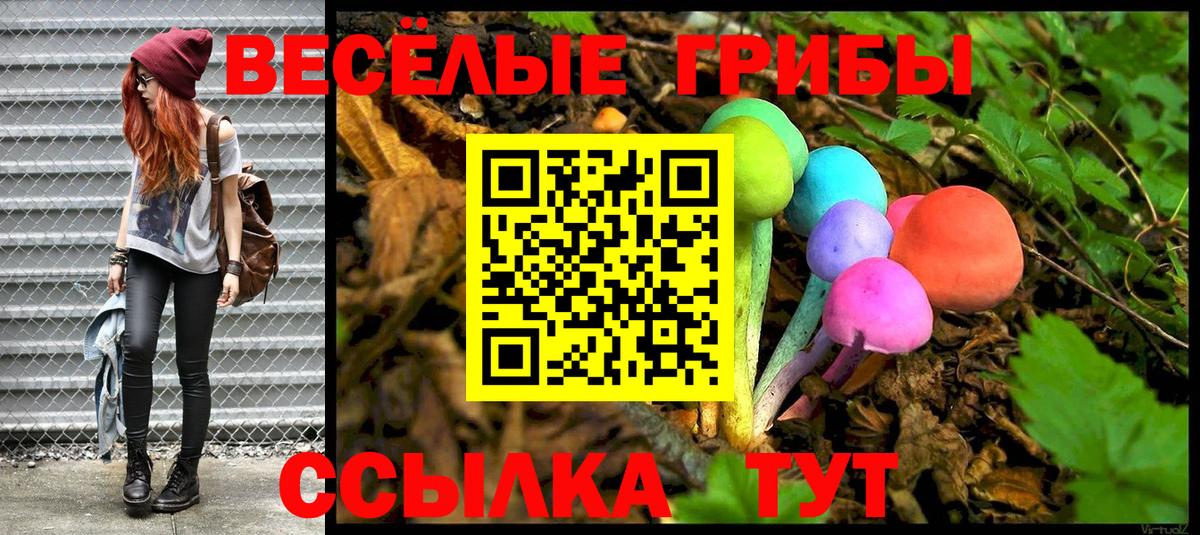 Елабуга  Галлюциногенные грибы MAGIC MUSHROOMS  Вход с VPN  Галлюциногенные грибы Psilocybine cubensis 