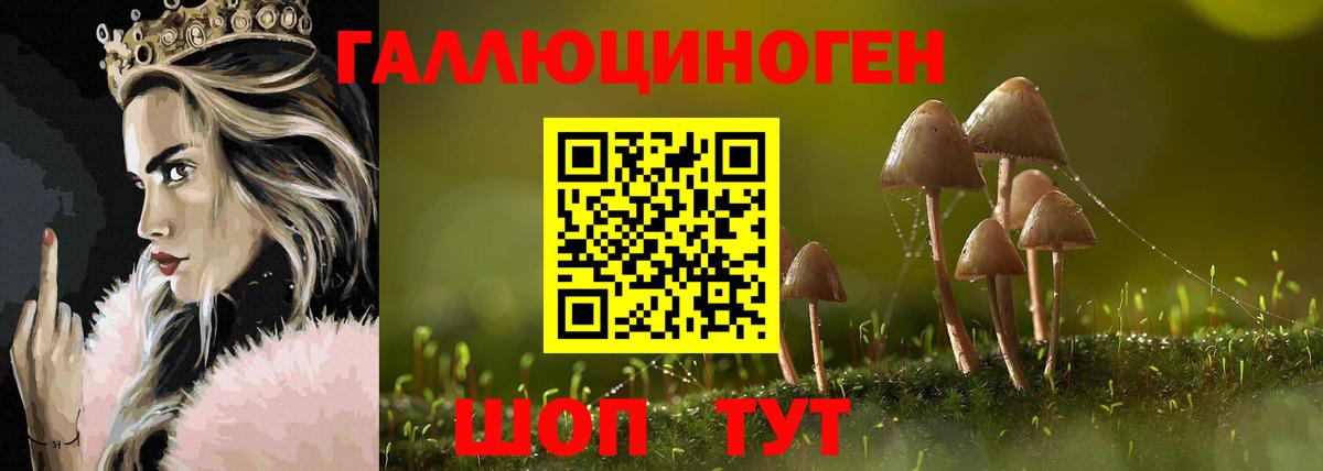 Галлюциногенные грибы мицелий Елабуга